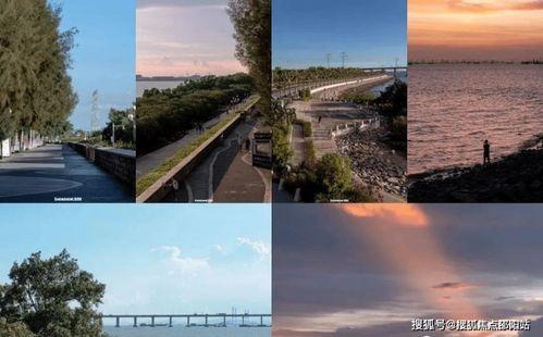 今日西湾公园爆料事件真相,真相背后的曲折与反思